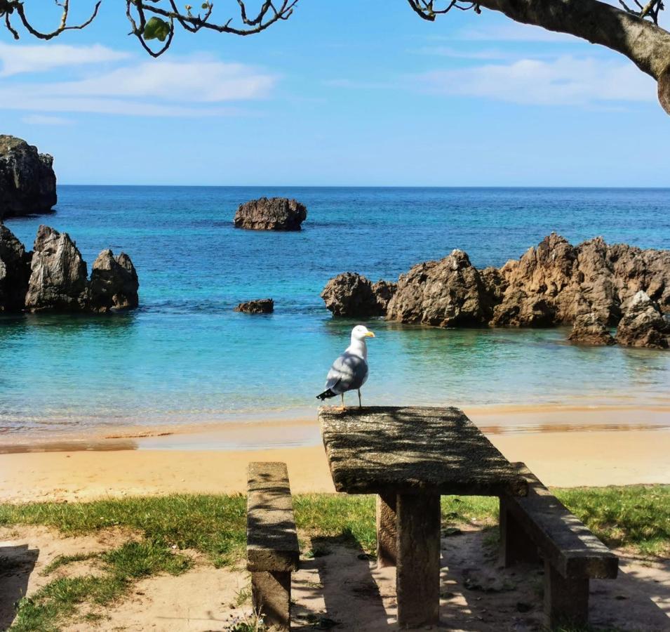 Hotel Rural El Texeu Parres de Llanes エクステリア 写真
